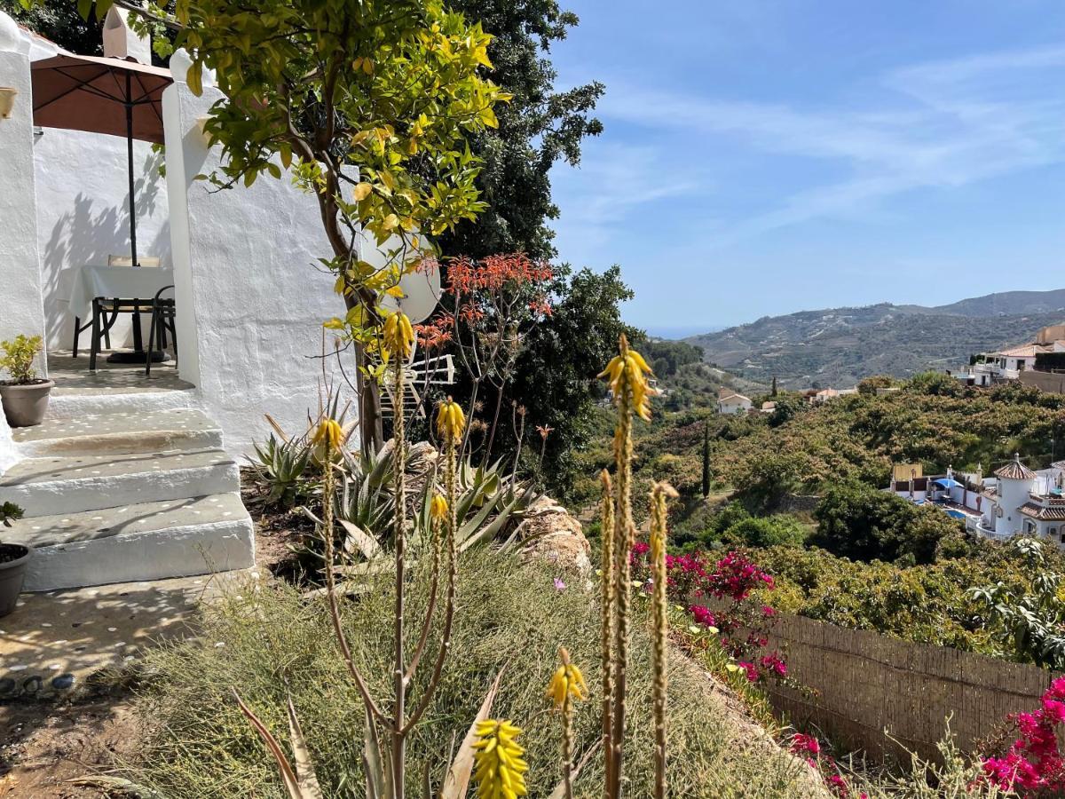 فيلا La Casa Turquesa فريجيليانا المظهر الخارجي الصورة