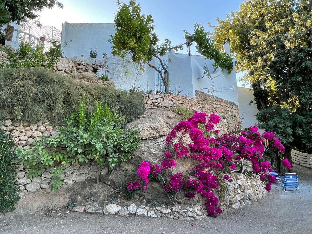 فيلا La Casa Turquesa فريجيليانا المظهر الخارجي الصورة