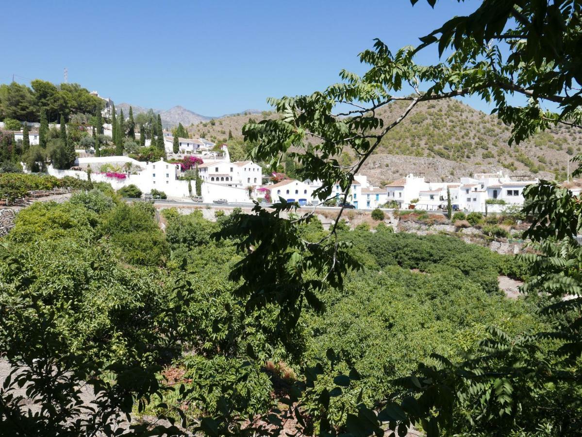 فيلا La Casa Turquesa فريجيليانا المظهر الخارجي الصورة