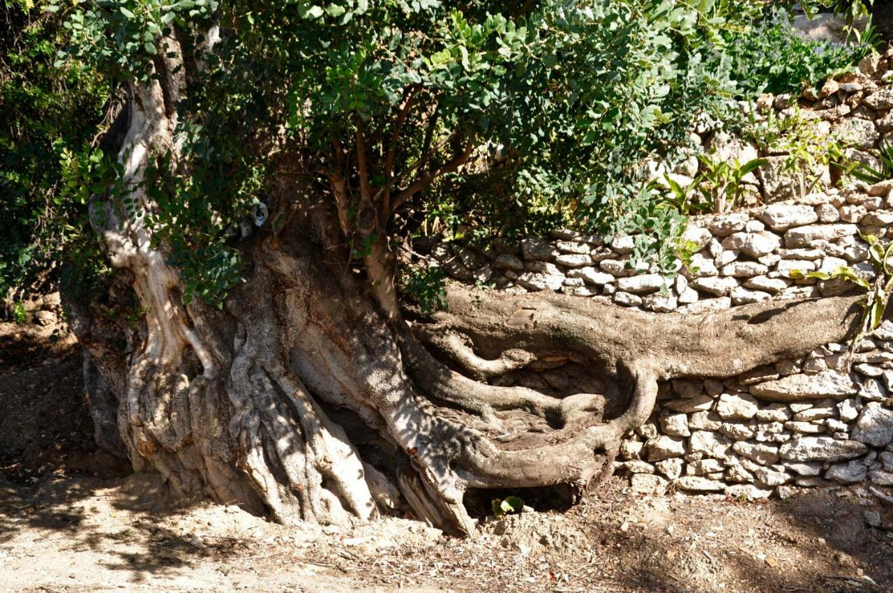 فيلا La Casa Turquesa فريجيليانا المظهر الخارجي الصورة