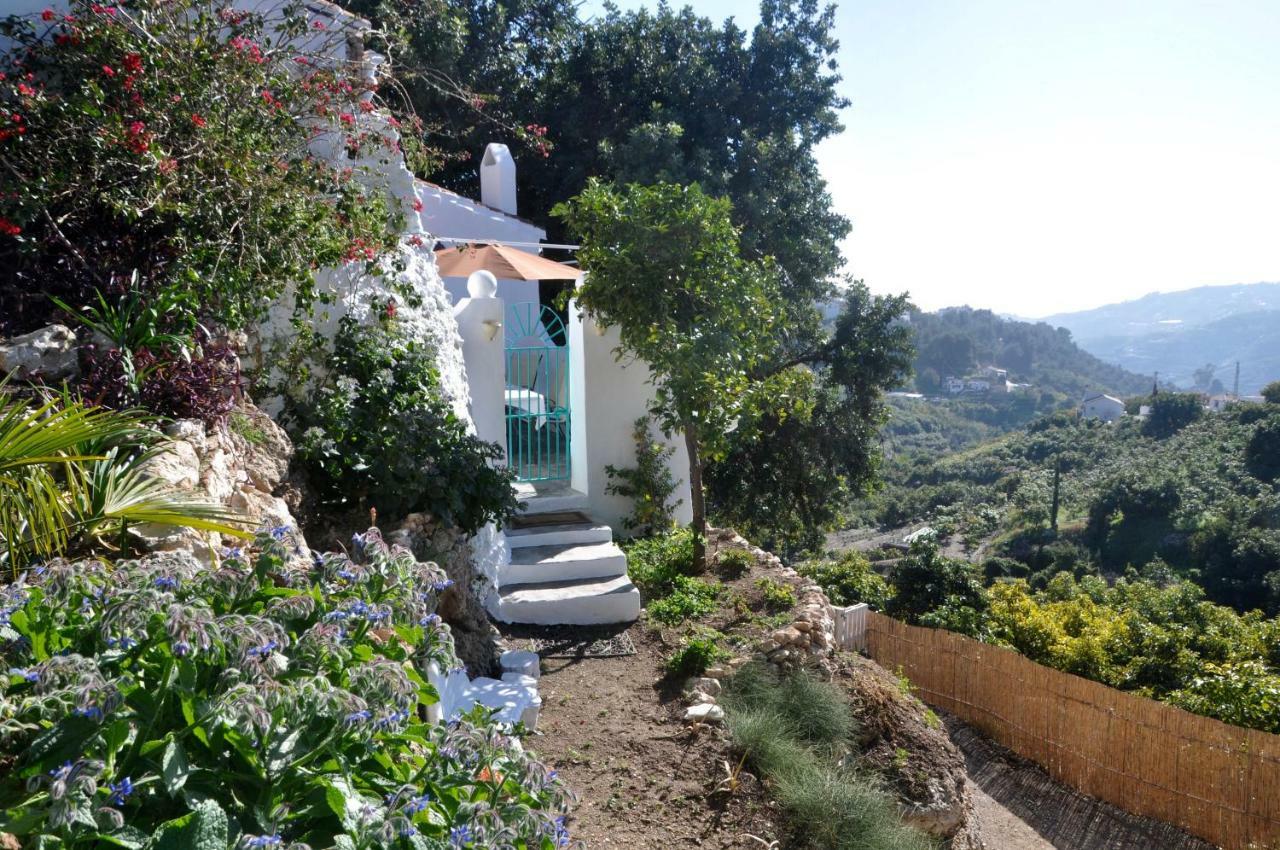 فيلا La Casa Turquesa فريجيليانا المظهر الخارجي الصورة